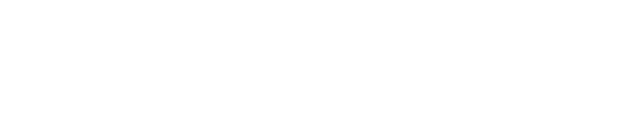 Master i Skat Logo, go to https://efteruddannelse.cbs.dk/master/programmer/master-i-skat