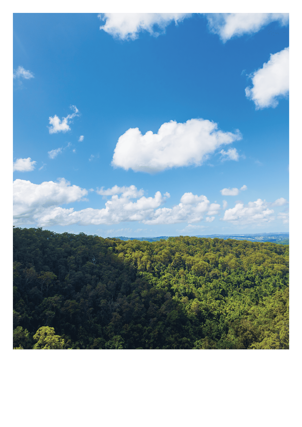 Environmental Annual Report 2024 Print Environmental annual report 2024 print